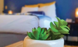 Budget Hotel