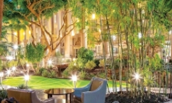 Corporate and Conference Hotels